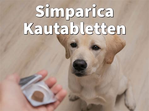 simparica wirkung|Simparica Hund: Anwendung & Nebenwirkungen。